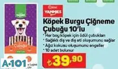 KİWİ YAMMİES KÖPEK BURGU ÇİĞNEME ÇUBUĞU 10'LU